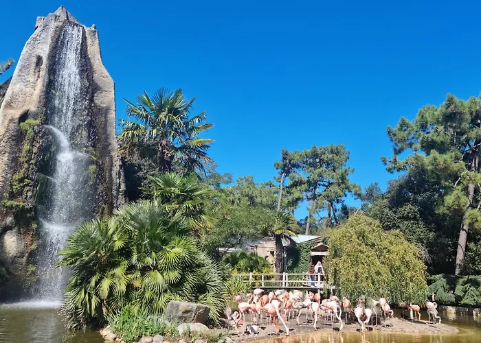Beautiful In Nyaraló Meschers-sur-Gironde